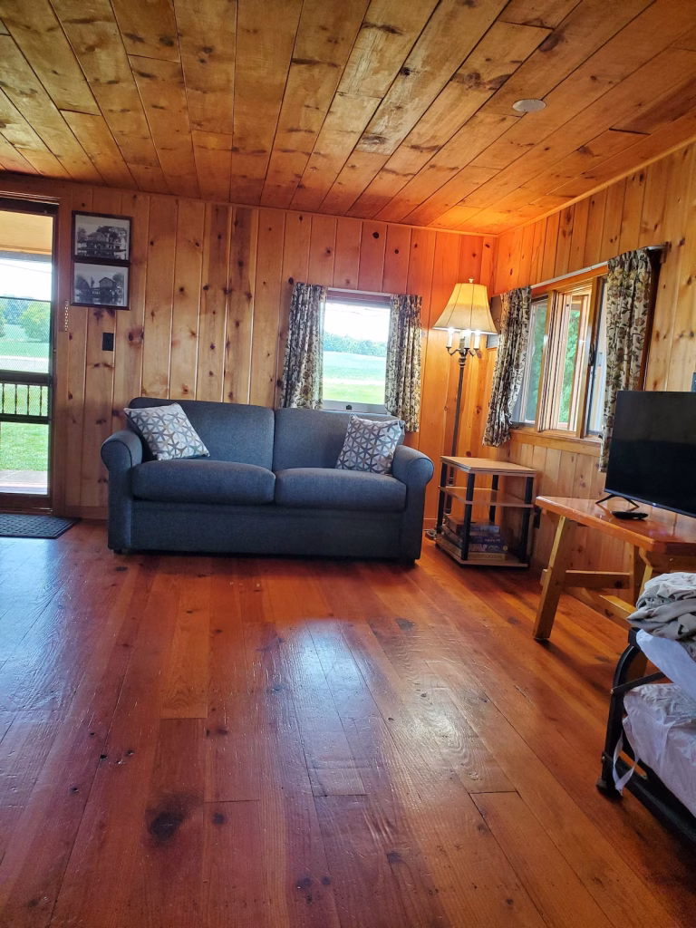 Beautiful wood-plank living room, with wood flooring, sofa, pillows, and television.